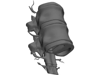 Lumbar Vertebrae 3D Model preview