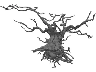 Gnarled Tree 3D Model preview
