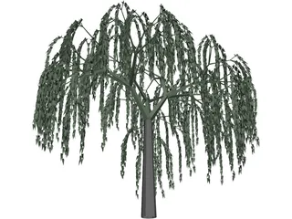 Willow Tree 3D Model preview