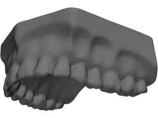 Teeth Upper Surface 3D Model preview