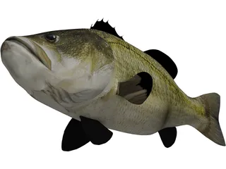 Largemouth Bass 3D Model preview