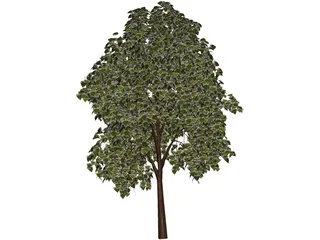 Pine Wood Tree 3D Model preview