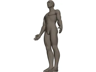 Human 3D Model preview