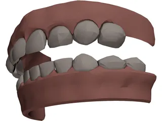 Jaw and Teeth 3D Model preview