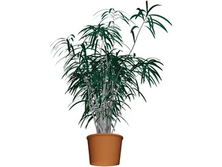 Indoor Plant 3D Model preview