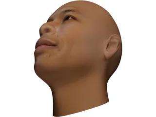 Dr Dre Head 3D Model preview
