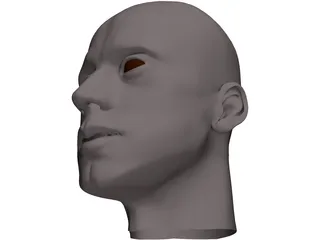 Man Head 3D Model preview