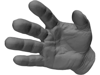 Right Hand Male 3D Model preview
