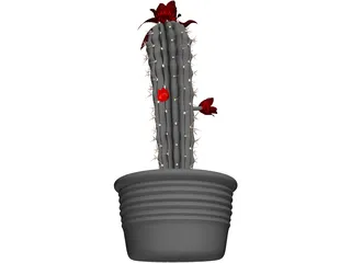 Castus 3D Model preview