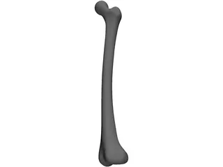 Femur Bone 3D Model preview