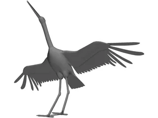 Ciconia Stork 3D Model preview