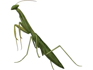 Mantis Praying 3D Model preview