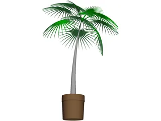 Palm Tree Plant 3D Model preview