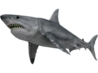 Great White Shark 3D Model preview