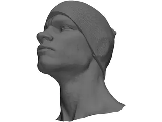 Head for Printing Decimated 3D Model preview