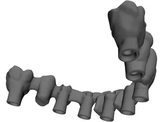 Reduced Mandibula Arcade 3D Model preview