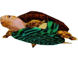Turtle 3D Model preview