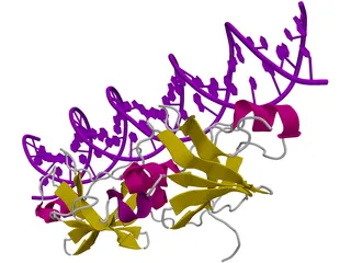DNA 3D Structure 3D Model preview