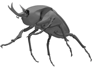 African Rose Beetle 3D Model preview