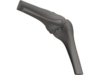 Knee Joint Human 3D Model preview