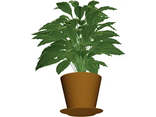 Spathiphyllum 3D Model preview