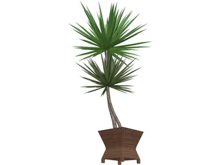 Yucca Plant 3D Model preview