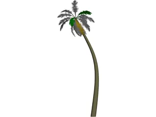 Tree Palm 3D Model preview