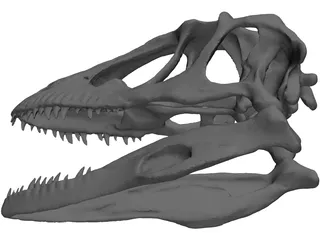 Dinosaur Skull 3D Model preview
