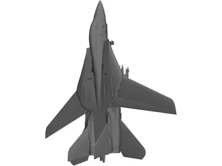 F-14 Tomcat Fighter 3D Model preview