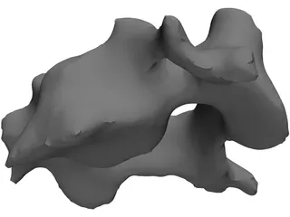 Vertebra 3D Model preview