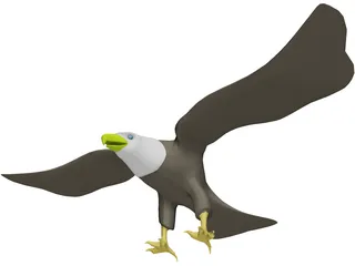 Eagle Bald 3D Model preview