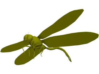 Dragon Fly 3D Model preview