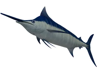 Marlin Blue 3D Model preview
