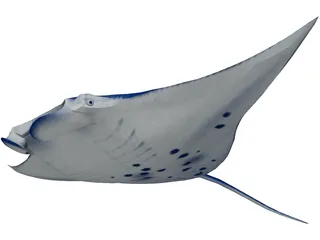 Manta Ray 3D Model preview