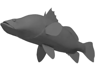 Barramundi 3D Model preview
