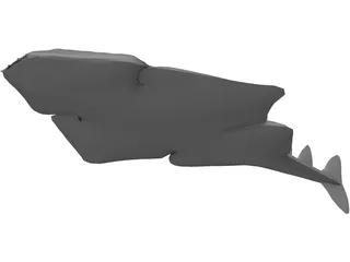Angel Shark 3D Model preview