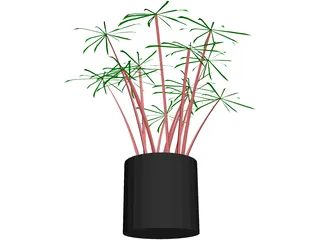 Cyperus Alternifolius 3D Model preview
