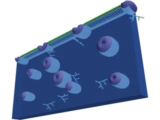 Cell Membrane 3D Model preview