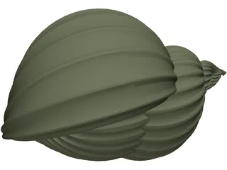 Shell Sea 3D Model preview