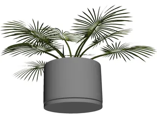 House Plant 3D Model preview