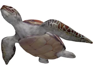 Turtle 3D Model preview