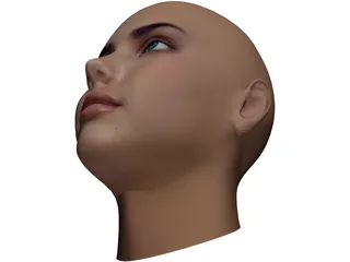 Woman Head 3D Model preview