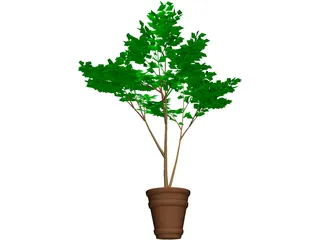 Potted Tree 3D Model preview