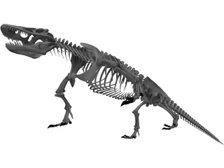 Komodo Dragon Skeleton 3D Model preview