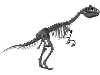 Allosaurus Skeleton 3D Model preview