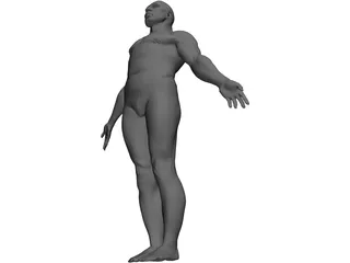 Male Body 3D Model preview