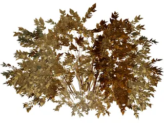 Onyx Bush 3D Model preview