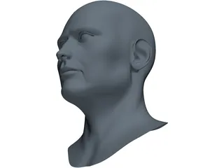 Human Face 3D Model preview
