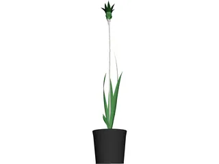 Potted Plant 3D Model preview