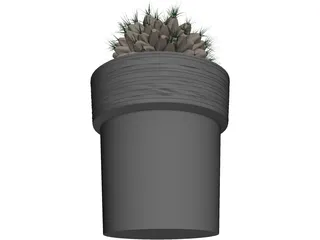 Potted Cactus Plant 3D Model preview
